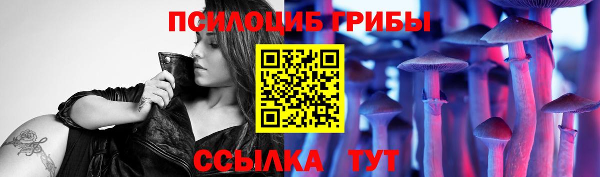 Псилоцибиновые грибы Cubensis Горячий Ключ